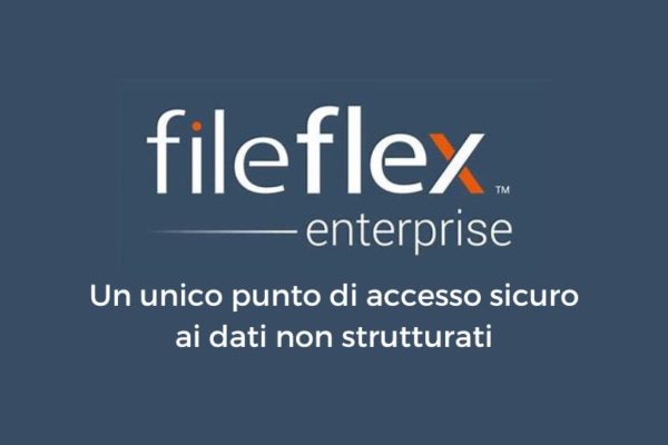fileflex enterprise